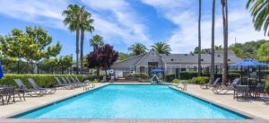 swimming pool, multiple picnic tables, large palm trees, leasing office close by, outdoor chaise lounge chairs, gated