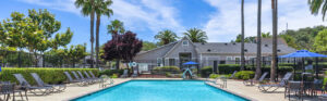 swimming pool, multiple picnic tables, large palm trees, leasing office close by, outdoor chaise lounge chairs, gated