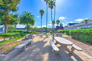 Exterior Picnic Area, picnic tables, benches, palm trees around picnic areas, meticulously groomed grounds, pool area nearby, photo taken on a sunny day.