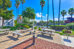 Exterior picnic area, BBQ Pits, palm trees scattered around picnic area, pool area in background, sidewalks leading to buildings, meticulous landscaping, photo taken on a sunny day.
